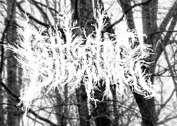 logo Cult Of The Black Witch